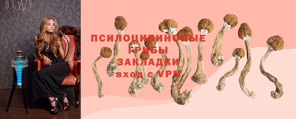 марихуана Белокуриха