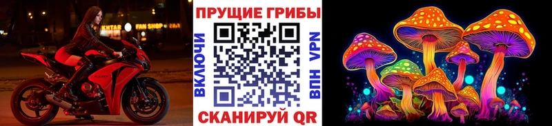Галлюциногенные грибы Psilocybine cubensis  Облучье 